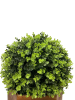 24" Ball Topiary in Redwood Pot, Artificial Faux Plant for indoor and outdoor