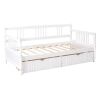 Twin Size Daybed Wood Bed with Two Drawers,White